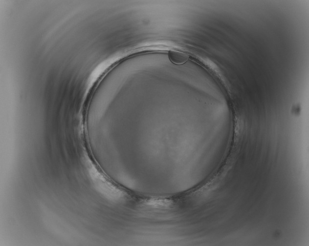 X0000113601466200910021729