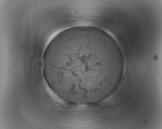 X0000113601467200910021729