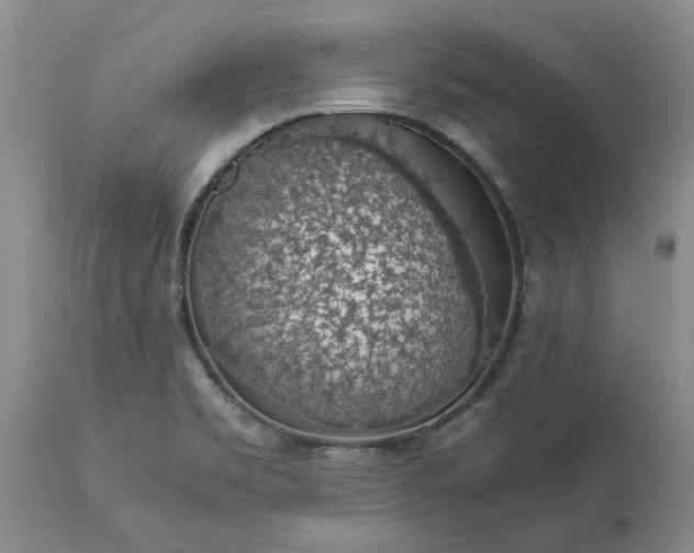 X0000113601469200910021729