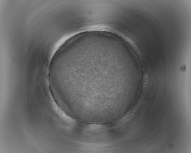 X0000113601470200910021729