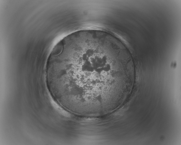 X0000113601471200910021729