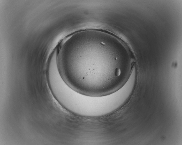 X0000113601472200910021729