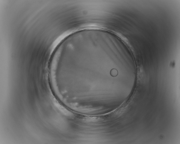 X0000113601474200910021729