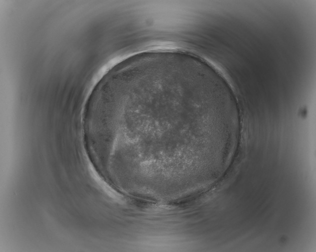 X0000113601475200910021729