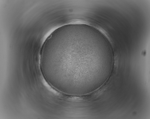 X0000113601476200910021729