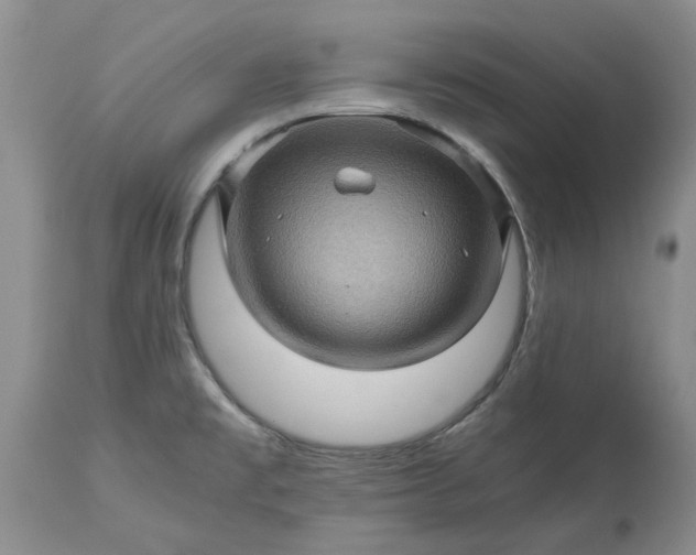 X0000113601477200910021729