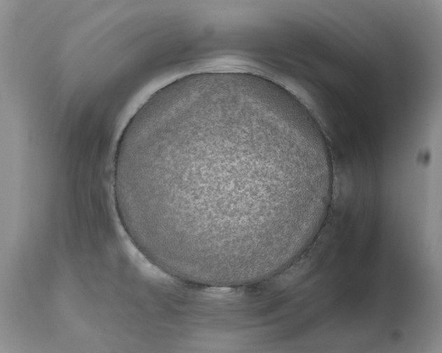 X0000113601478200910021729