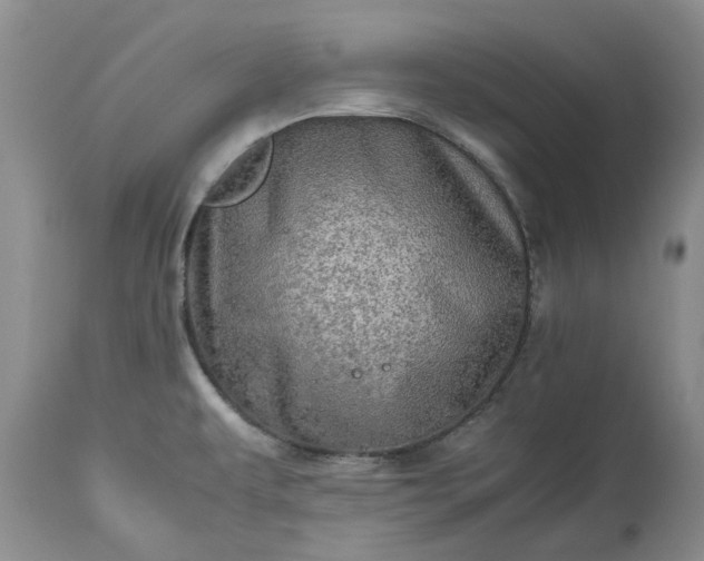 X0000113601479200910021729