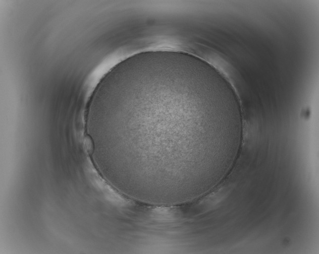 X0000113601480200910021729