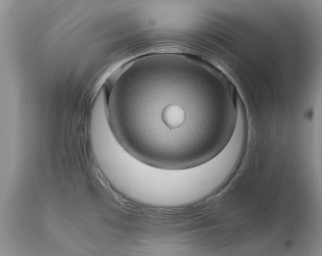 X0000113601481200910021729