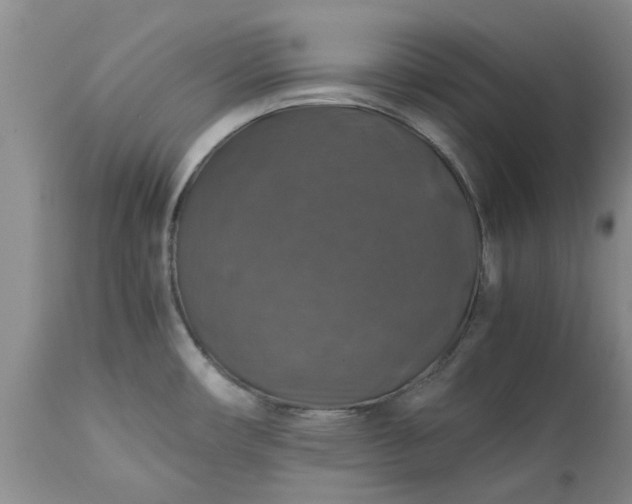 X0000113601482200910021729