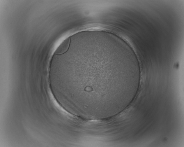 X0000113601483200910021729