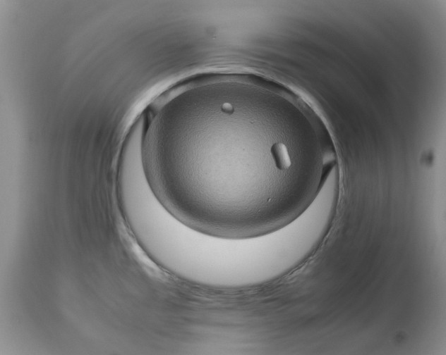 X0000113601485200910021729