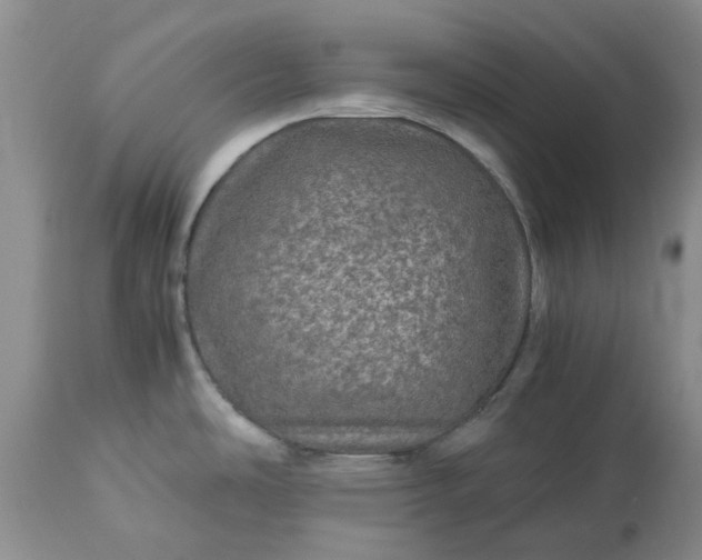 X0000113601486200910021729