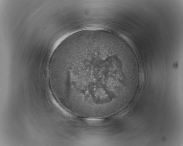 X0000113601487200910021729