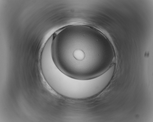 X0000113601488200910021729