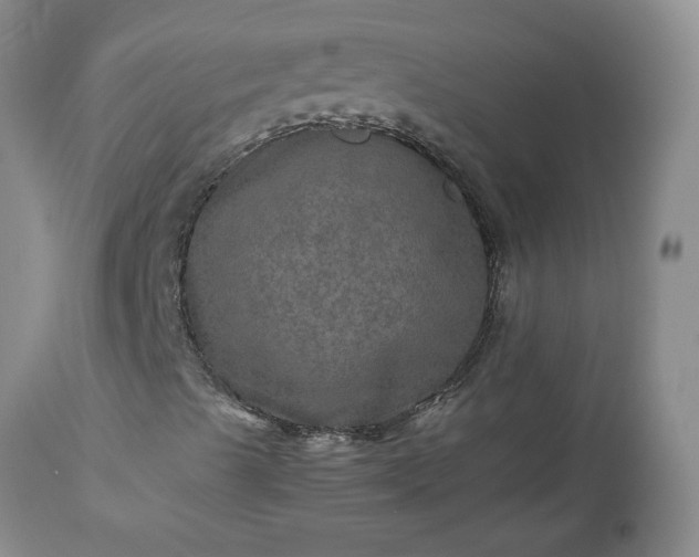 X0000113601489200910021728