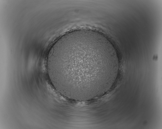 X0000113601490200910021728