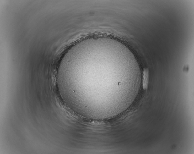 X0000113601491200910021728