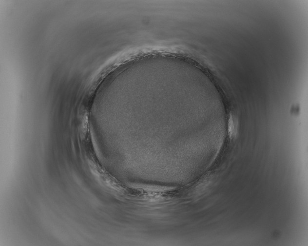 X0000113601492200910021728