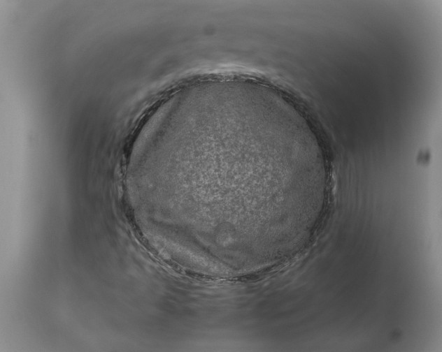 X0000113601493200910021728