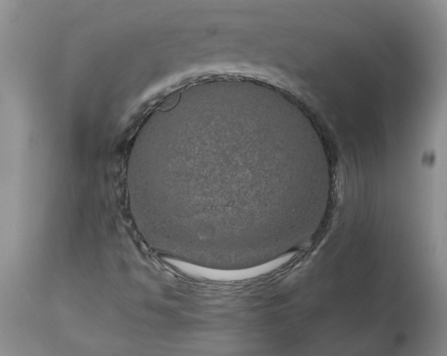 X0000113601494200910021728