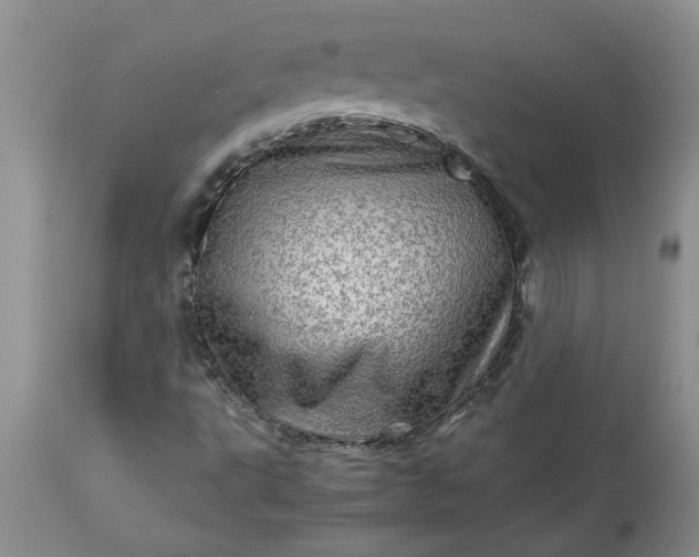 X0000113601495200910021728