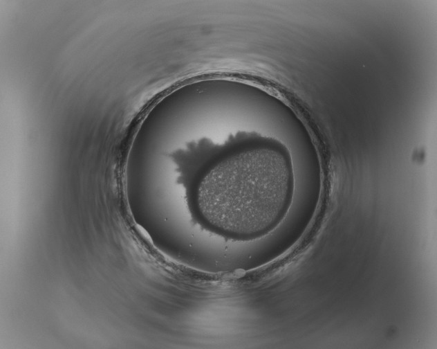 X0000113601497200910021728