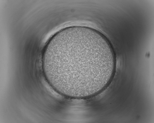 X0000113601498200910021728