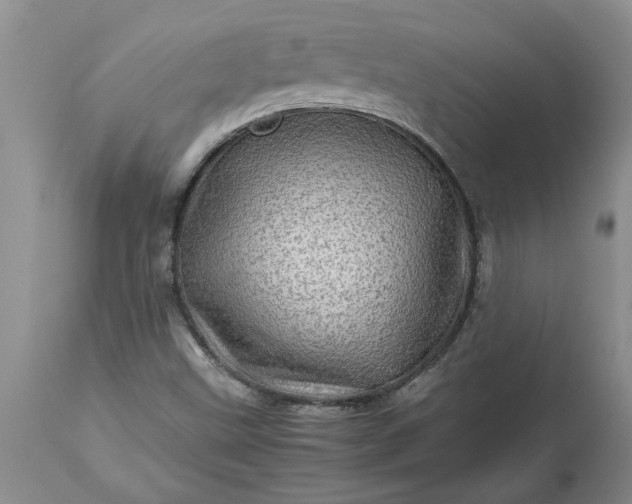 X0000113601499200910021728