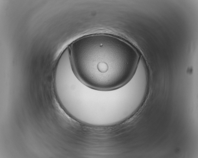 X0000113601500200910021728