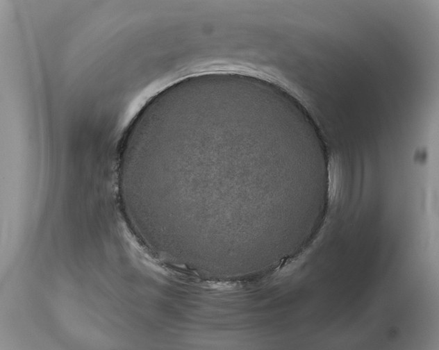 X0000113601501200910021728