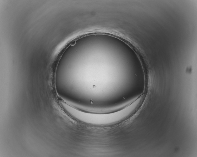 X0000113601502200910021728