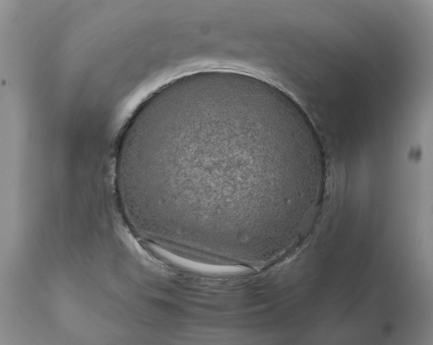 X0000113601503200910021728