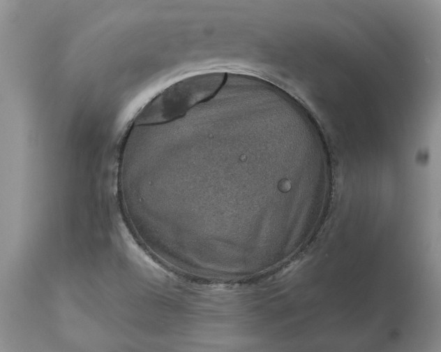 X0000113601504200910021728