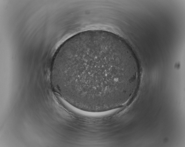 X0000113601505200910021728