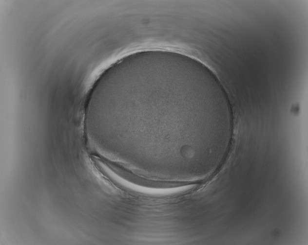 X0000113601507200910021728