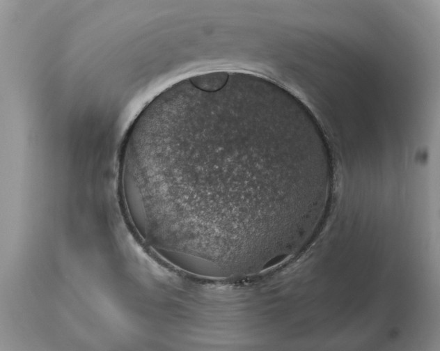 X0000113601508200910021728