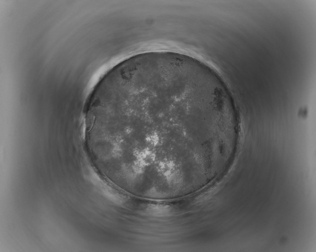 X0000113601509200910021728