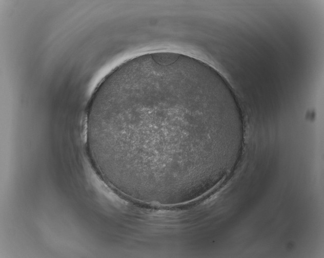 X0000113601510200910021728