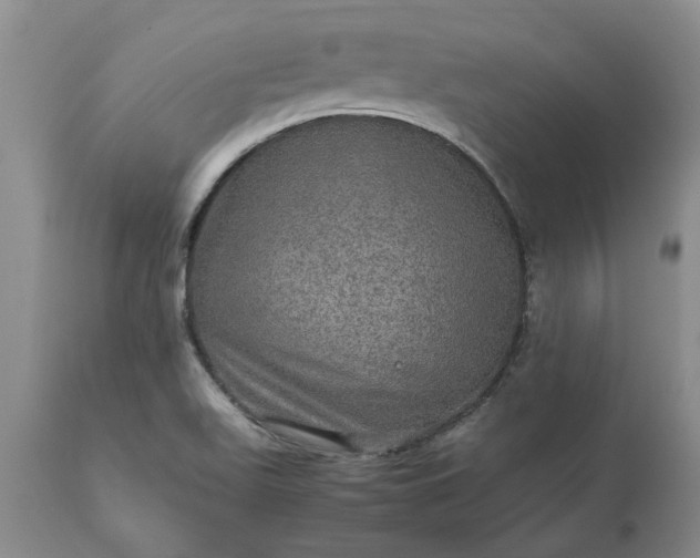 X0000113601511200910021728