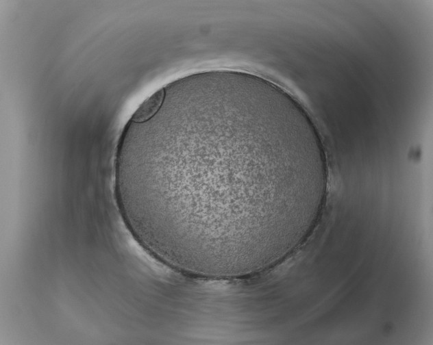 X0000113601512200910021728