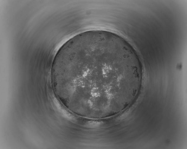 X0000113601513200910021728