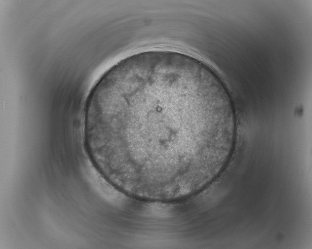 X0000113601514200910021729