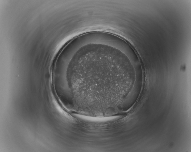 X0000113601515200910021729