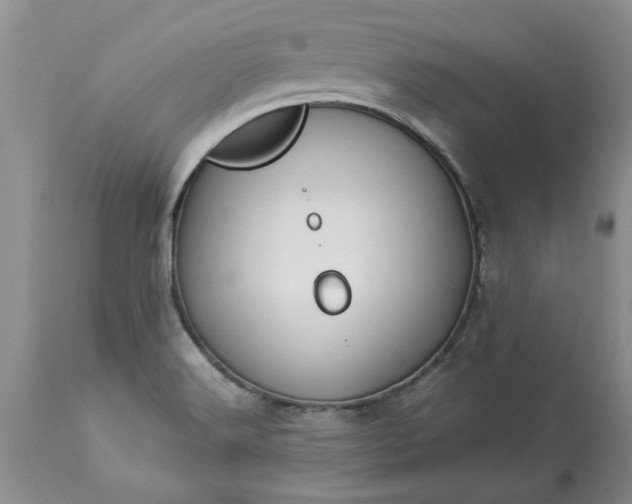 X0000113601516200910021729