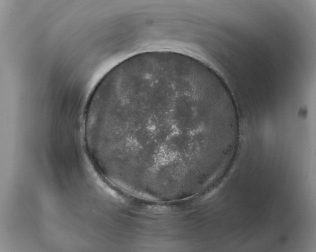 X0000113601517200910021729