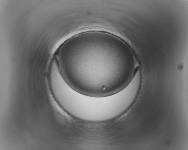 X0000113601518200910021729