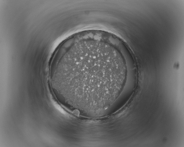 X0000113601519200910021729