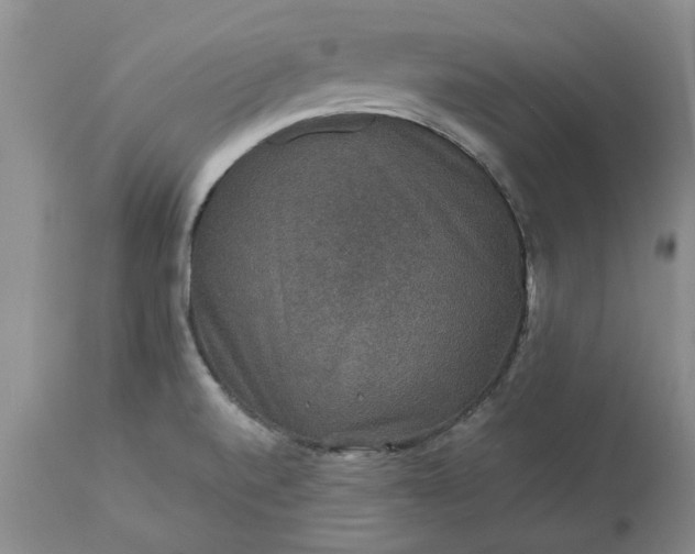 X0000113601520200910021729